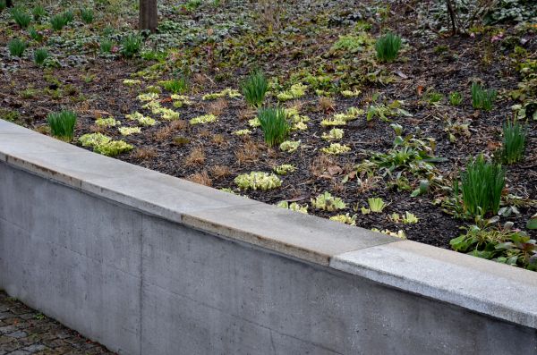 Concrete Wall Construction in Schaumburg