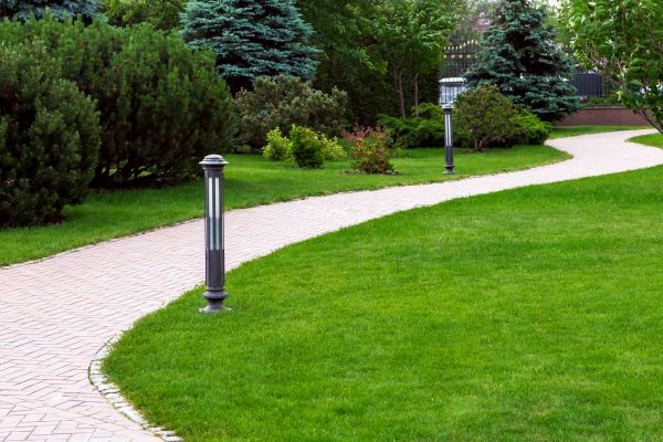 Backyard Sidewalk Installation in Schaumburg